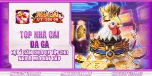 31 top nha cai da ga goi y san choi uy tin cho nguoi moi bat dau