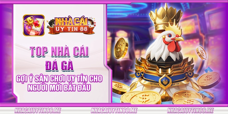 31 top nha cai da ga goi y san choi uy tin cho nguoi moi bat dau