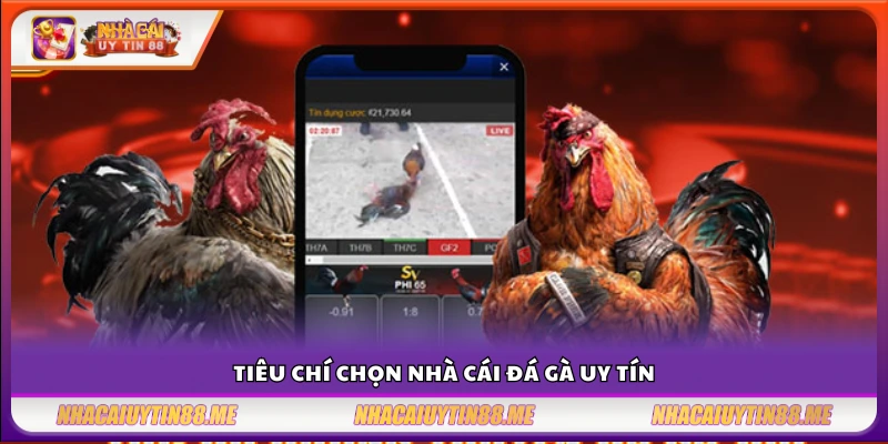 Top nhà cái đá gà – Gợi ý sân chơi uy tín cho người mới bắt đầu 2 Cách nhận biết nhà cái đá gà an toàn và minh bạch