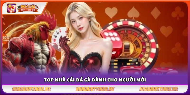 Top nhà cái đá gà – Gợi ý sân chơi uy tín cho người mới bắt đầu 3 Danh sách top nhà cái đá gà thân thiện với tân thủ.