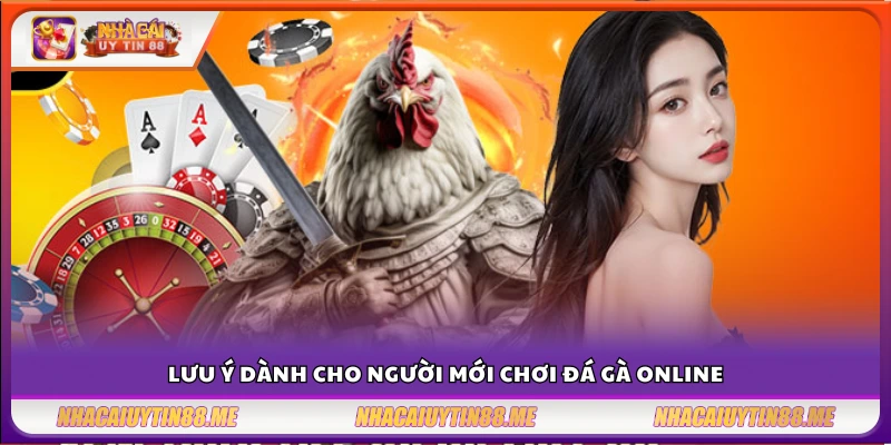 Top nhà cái đá gà – Gợi ý sân chơi uy tín cho người mới bắt đầu 4 Kinh nghiệm cơ bản giúp tân thủ chơi đá gà hiệu quả