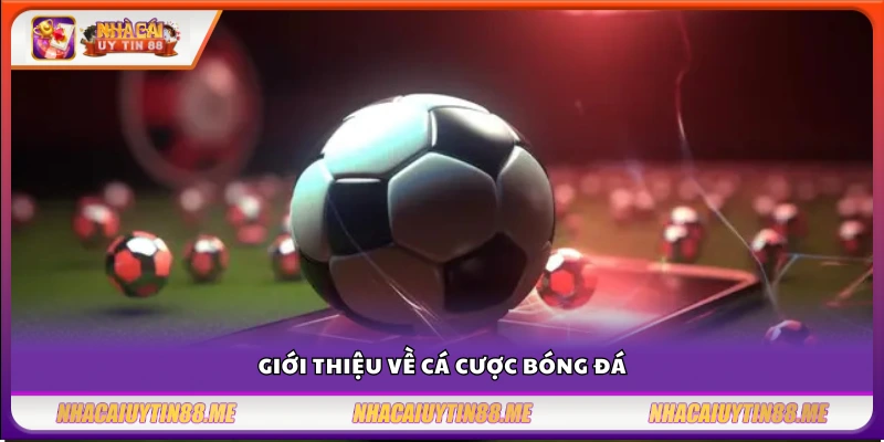Chiến thuật cá cược bóng đá – Những phương pháp được cao thủ tin dùng 2 Tìm hiểu hình thức cá cược thể thao phổ biến nhất hiện nay