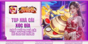 14 top nha cai xoc dia goi y nhung nha cai de choi de trung